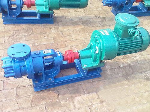 山東NYP轉(zhuǎn)子泵