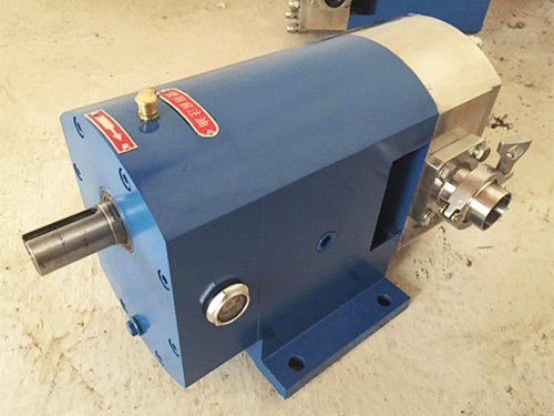 山東3RP系列凸輪轉(zhuǎn)子泵